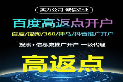 百度广告推广费用案例分析：效果与投入的平衡